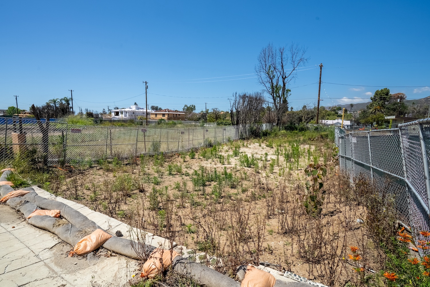 763 Haverford Avwe, California 90272, ,Home,For Sale,Haverford Avwe,1188