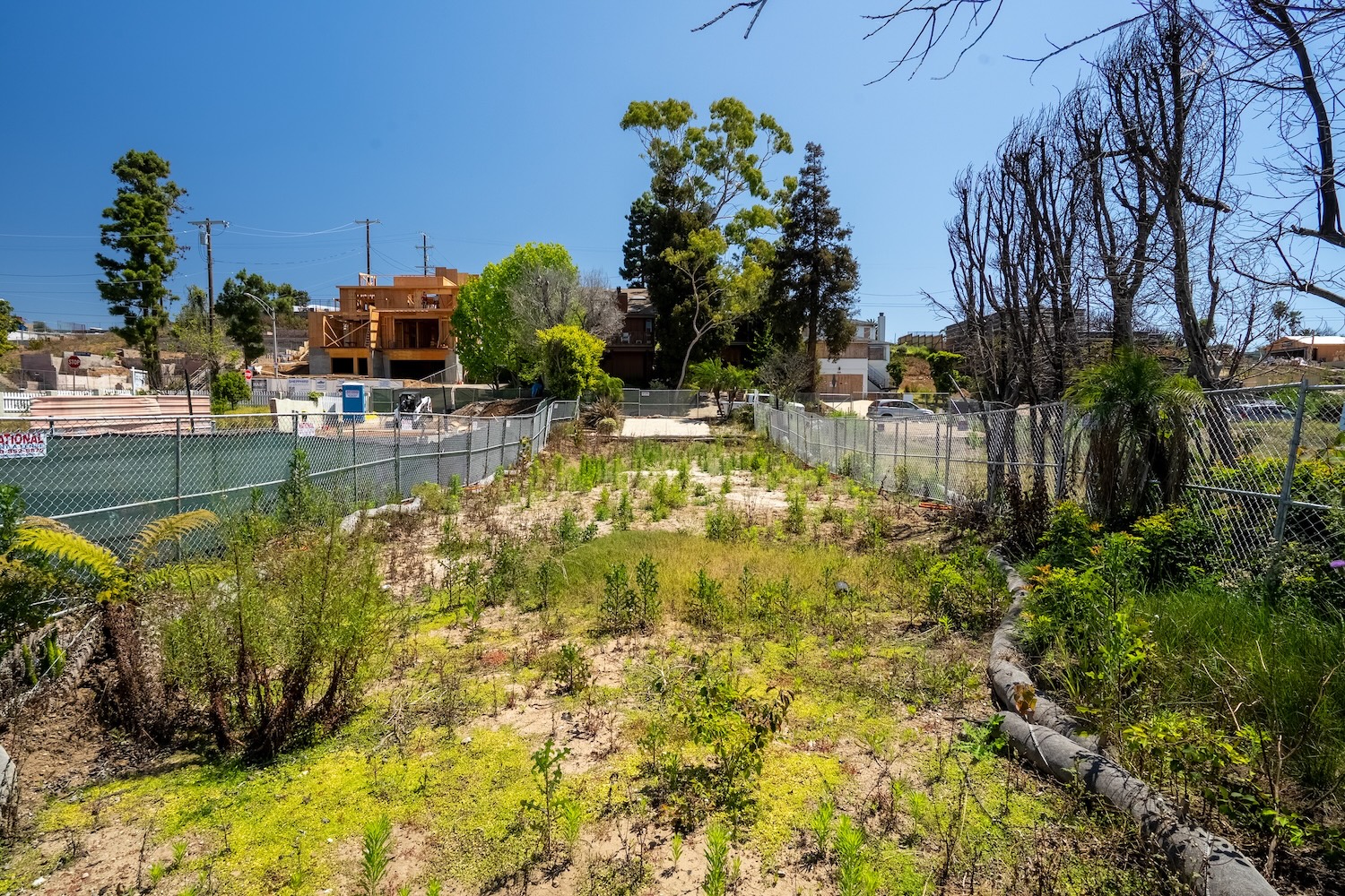 763 Haverford Avwe, California 90272, ,Home,For Sale,Haverford Avwe,1188